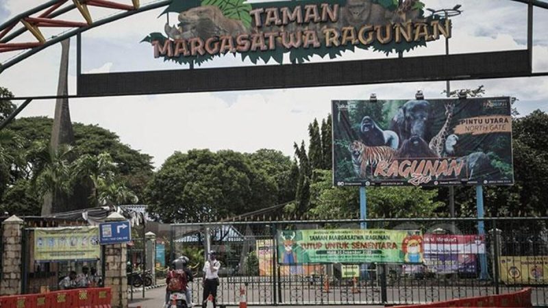 Taman Margasatwa Ragunan : Liburan Murah yang Mengesankan